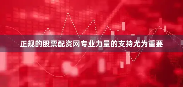 正规的股票配资网专业力量的支持尤为重要