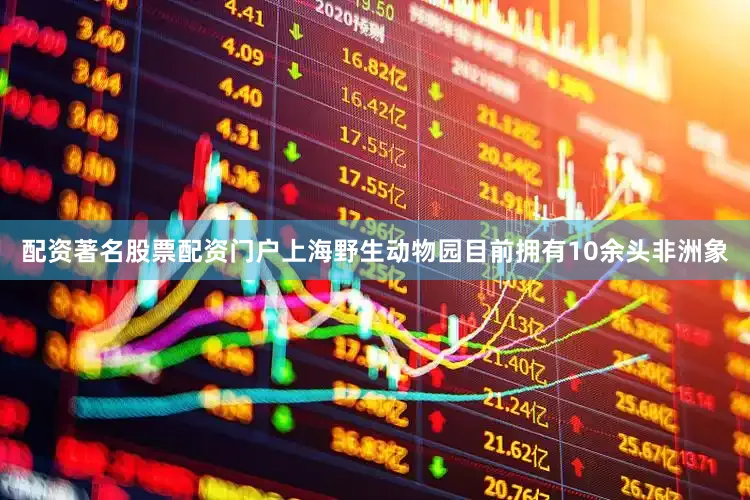 配资著名股票配资门户上海野生动物园目前拥有10余头非洲象