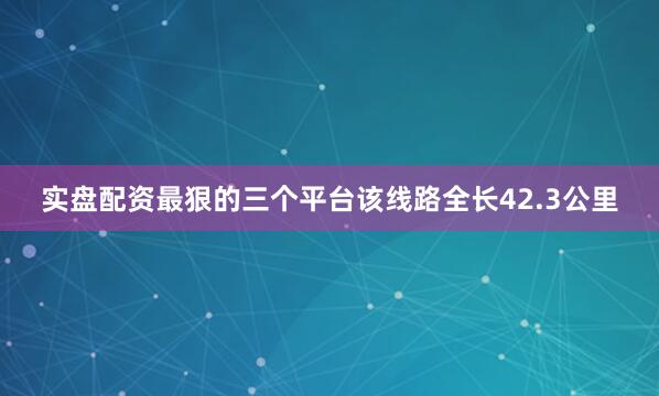实盘配资最狠的三个平台该线路全长42.3公里