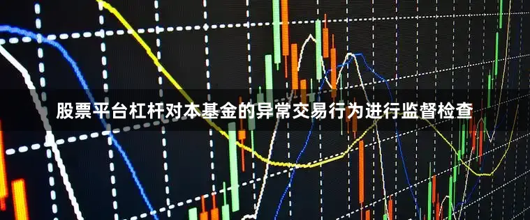 股票平台杠杆对本基金的异常交易行为进行监督检查