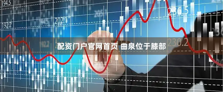 配资门户官网首页 曲泉位于膝部