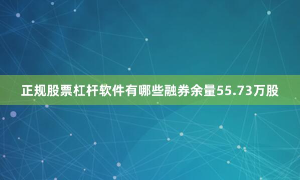 正规股票杠杆软件有哪些融券余量55.73万股